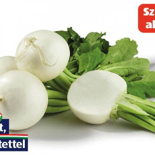 Sör retek /csomó 1 db 1 darab | Cashmap.hu: akciók, árösszehasonlítás ...